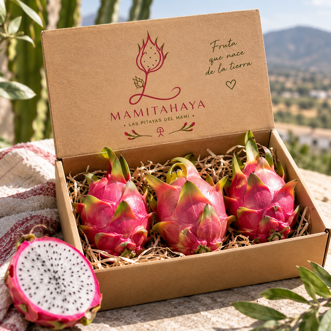 Caja Degustación